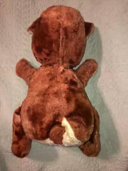 Amazon.co.jp: ラシュトン スター クリエーションズ テディベア