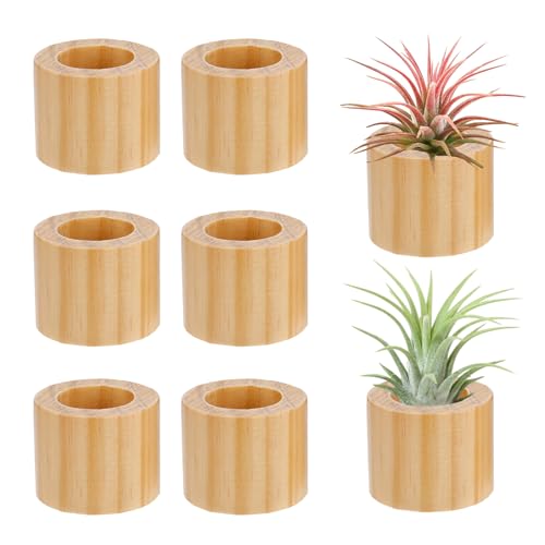 Bigmeta Luftpflanzenhalter aus Holz, rustikaler Stil, 3 cm, 6 Stück