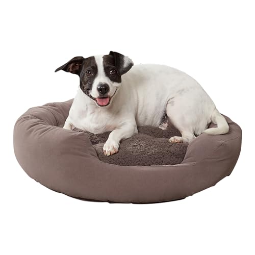 Maddie Donut Dog Bed with Removable Center Pillow, Gray, Small (24