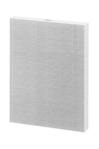 Best True Hepa Filter For Aeramax