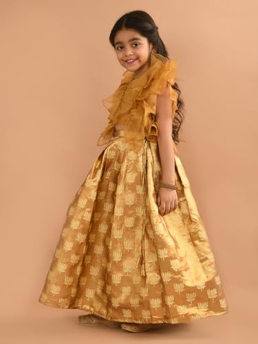 Image of Lilpicks Ruffle Sleeveless Blouse with Brocade Flared Lehenga Set for Girls (Pink)