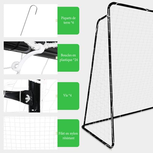 LALAHO But de Football Extérieur 300 x 200 x 120 cm Cage de Foot Portable Poteau en Acier Galvanisé Filet en PE Résistant