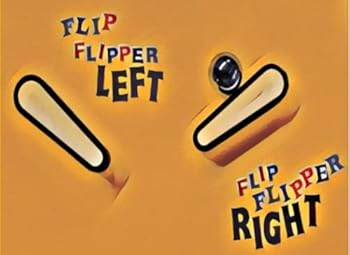 Paperback Flip Flipper Left, Flip Flipper Right | Pinball Book for Kids | Pinball Book for Children |How to Play Pinball | Book