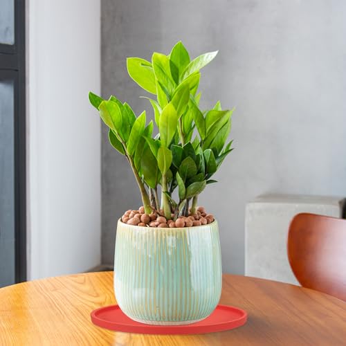 Soucoupes rondes en céramique PATIKIL blanches de 11,4 cm pour pot - 7