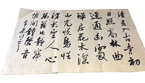 Papel maobiano hecho a mano Xuan de textura media madura y alta absorción para trazos limpios 4