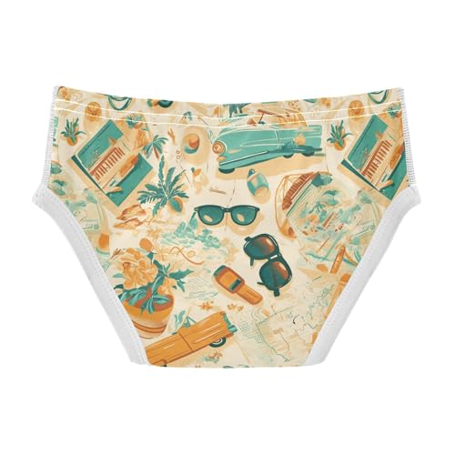 visesunny Boys Potty Training Underwear Western Cowboy Roadster Sunglass Breathe Cotton Briefs Size 2T-8Y for Toddler2