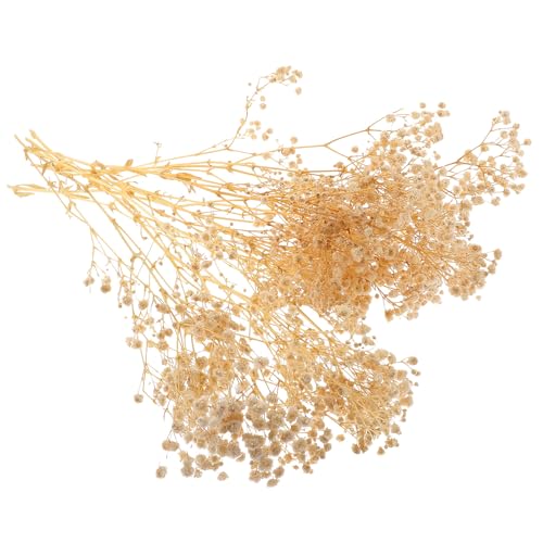 Ramo de Flores Secas Gypsophila Blanco Natural para Decoración miniatura 1