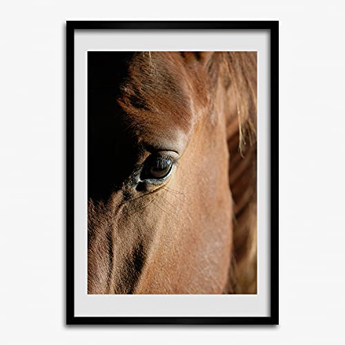 Cadre en bois 50x70 cm Tulup avec tableau de cheval de qualité supérieure