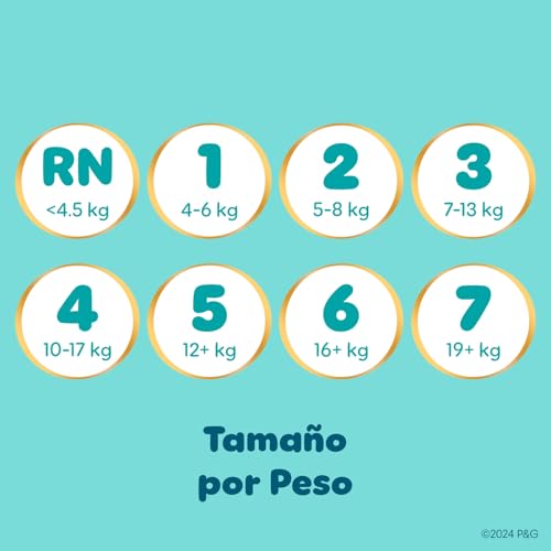 Image of Pampers Swaddlers Diapers, Size 6 (23-44 lbs), 16 Count, Absorbent, Keeps Baby Dry and Comfortable, Skin Safe Disposable Baby Diaper (Packaging May Vary)