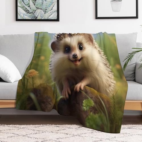 Couverture flanelle hérisson polaire douce pour canapé-lit et sofa - 3