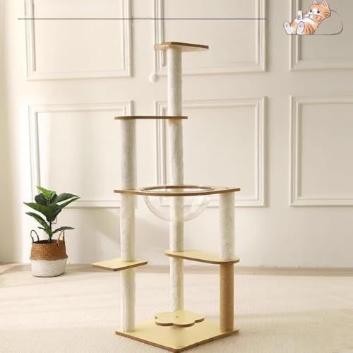 MORLU ؐLbg^[  ^Lp ی^x[X I  X ē~p ȃXy[X v W]t {E TCU ȃ[v XgX B 芴 ^  (6wNC~Ot[ - t[Xn)