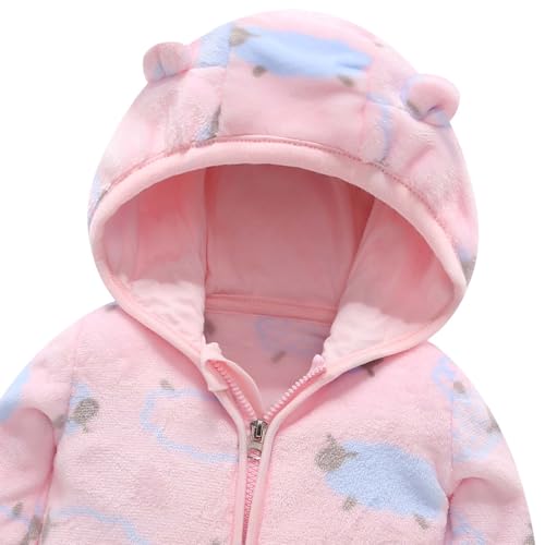 AIWUHE Baby Boys Girls Hooded Fleece Jacket Cute Bear Hoodie Zip Up Teddy Coat Sherpa Winter Warm Outwear With Pocket 1-6Y3