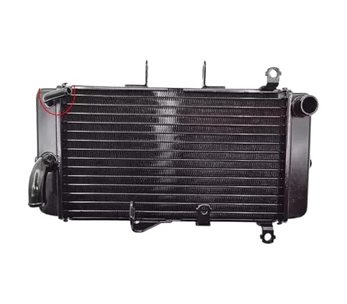 EH[^[^NAZu`[t@WG[^[ GW250S/F DL250 GSX250R-A SNoCNΉ(B)