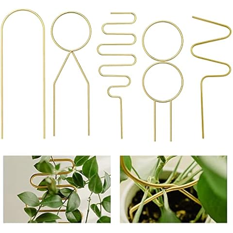 5 Pcs Small Metal Plant Trellis for Indoor Potted Plants, Mini Gold Trellis for Climbing Plants Indoor, Indoor Plant Support Stake House Plant Trellis for Garden Potted Plant Small Planter Cover