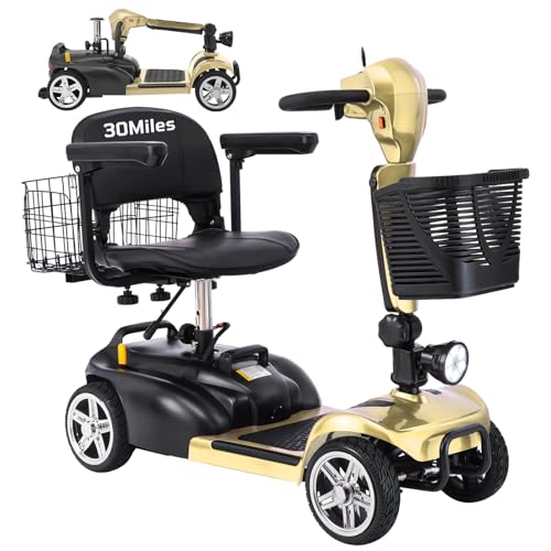 30-60 Miles Ecomobi MS02 Long Range 4 Wheels Electric