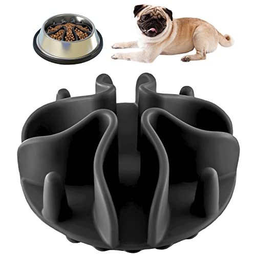 Amazon Best Sellers Best Dog Slow Feeders