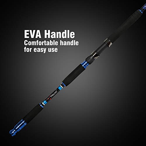 Fiblink Saltwater Fishing Rod Carbon Fiber Jigging Rod With 2 Piece Twin-Tip Spinning & Casting Portable Travel Fishing Jig Rod (Twin-Tip-5'6"-Spinning & Casting-2Pcs) #TOP5