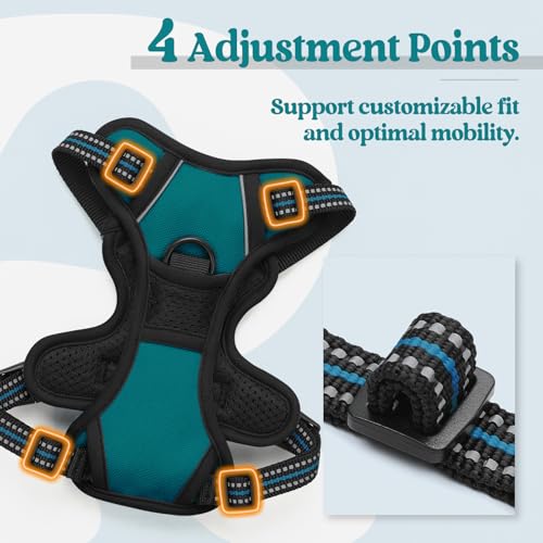 Image of rabbitgoo Dog Harness No Pull with 2 Leash Clips, Adjustable Soft Padded, Reflective Oxford No Choke Pet Vest with Easy Control Handle for Puppy, Blue Coral, XS | No Choke, Adjustable, Breathable Padded, 2 Lead Rings, Reflective, Easy Control for Walking Training, XS, Blue Coral