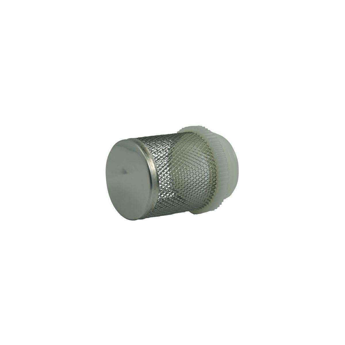 Crépine de Filtration seule pour Pompe et Cuve | Standard ISO 228-1 - 4''