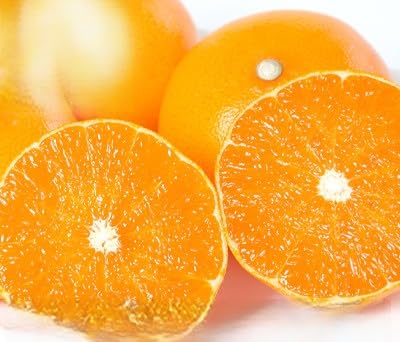 (2026年2月以降発送)とろける濃厚柑橘 せとか のし付き ギフトボックス入り(E25-168)