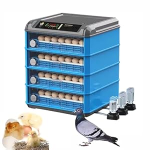 Zhfengzhuz Eierbrutschrank ZHFENGZHUZ 192 Kapazität