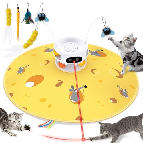 ZOMISIA 5-in-1 Hide and Seek Cat Toy