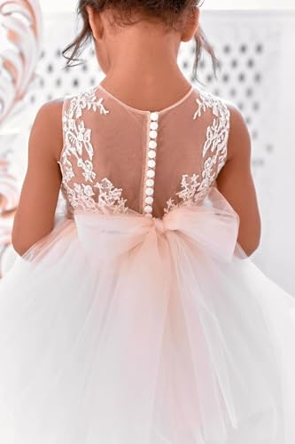 Lace Tulle Flower Girl Dress Kids Wedding Princess Dress Applique Bow-Knot Birthday Party Prom Ball Gowns Dresses4
