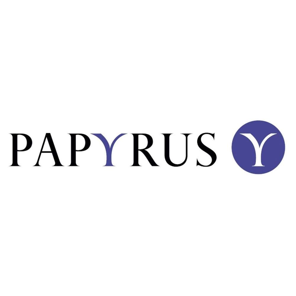Plano uniwersalny papier do drukarek papierowych DIN A4, 80 g/m², 2500 arkuszy, biały