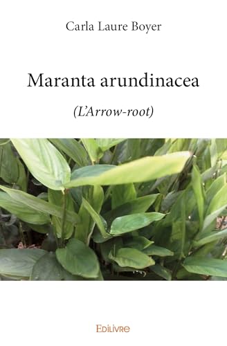 Maranta arundinacea: (L'Arrow-root)