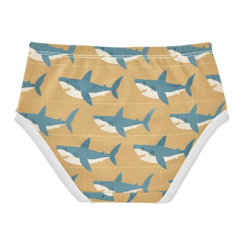 Cotton Panties Hipster Triangle Panties Toddler Cotton Underwear for Girls in Sizes 2T,3T, 4T, 5T, 6Y and 8Y2