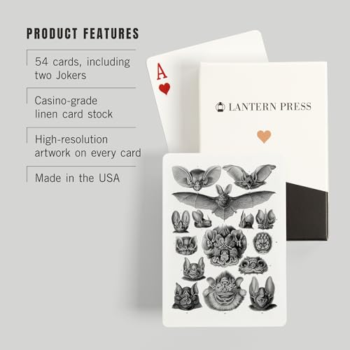 Baraja de cartas Art Forms of Nature, Chiroptera miniatura 3