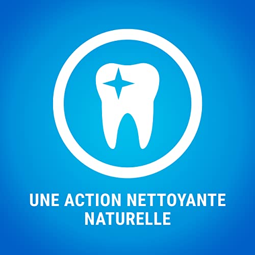 Purina Dentalife Mini MultiPack - vue 8