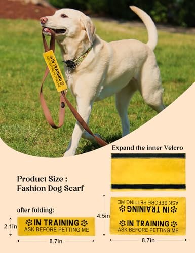 in Training Dog Leash Sleeve - Funny Yellow Alert Wrap with Hanging ID Patch | Ask Before Petting Service Dog Accessory, Perfect Pet Birthday Gift for Dog Owners - 5