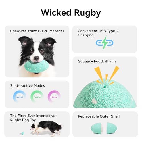 Juguete interactivo para perros Hoochii Wicked Rugby miniatura 2