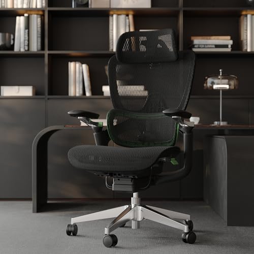 chirvana Ergonomic Office Chair, Mesh Home Office Desk Chair with