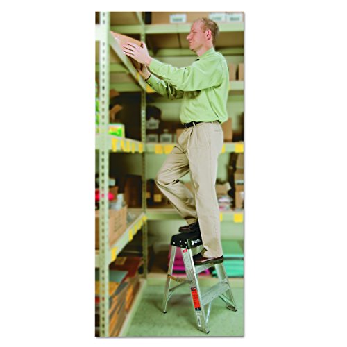 Louisville Ladder AS3002 6966014, 2 Feet, Black
