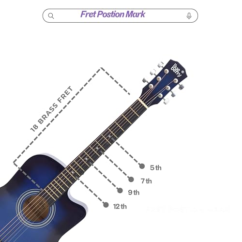 Image of BLUEBERRY B-D38, Acoustic Guitar Kit Inbuilt Truss Rod with Bag, Strap, One Pack Strings And Picks - 38 Inch (Blue)