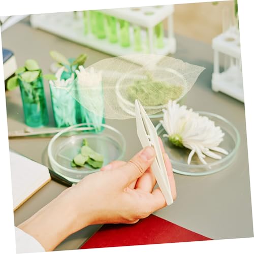 Hojas secas naturales para manualidades VICASKY 100 pcs miniatura 6