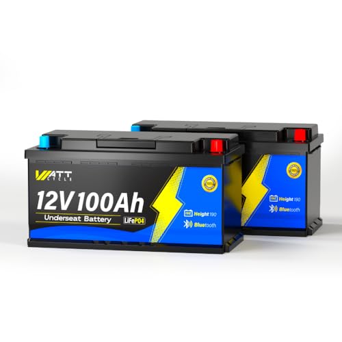 WattCycle 12V 100Ah Bluetooth LiFePO4 Batterie mit 188mm Höhe,Tiefzyklus Lithium Batterie mit Smart BMS Tieftemperaturschutz, für Stromspeicher, Wohnmobil, Wohnwagen, Solar, 2 Packungen