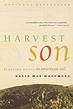  Harvest Son: Planting Roots in American Soil