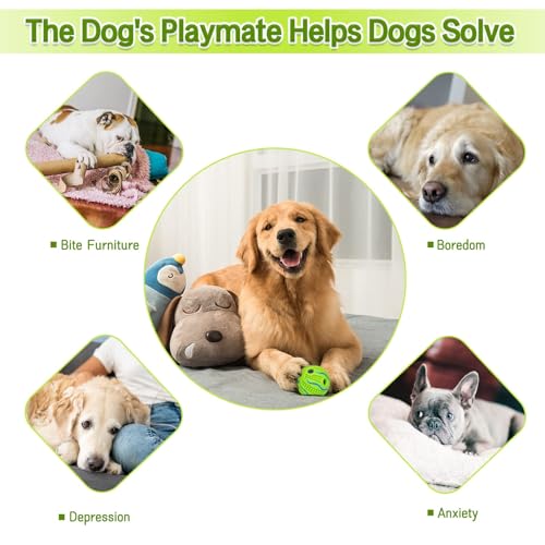 Image of Tail Dog Toys + Dog Chew Toys + Puppy Teething Toys + Rope Dog Toy + Dog Toys for Small to Medium Dog Toys + Dog Toy Pack + Tug Toy + Dog Toy Set + Washable Cotton Rope for Dogs (PACK OF 15PCS)