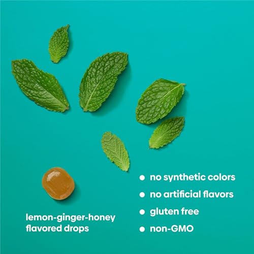 Image of UpSpring Stomach Settle Drops for Occasional Nausea Relief /Upset Stomach with Ginger, Lemon, Spearmint, and B6. Mint Flavor Drops, 28 Ct (Pack of 2)