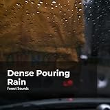 Chirping Birds and Crickets