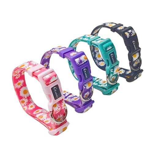 Collar para perro mediano con patrón floral Daisy rosa miniatura 5