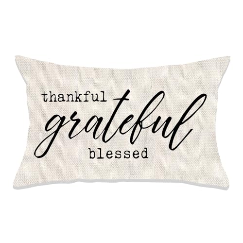 Yreamont Oblong Throw Pillows for Bed Couch Farmhouse Throw Pillows