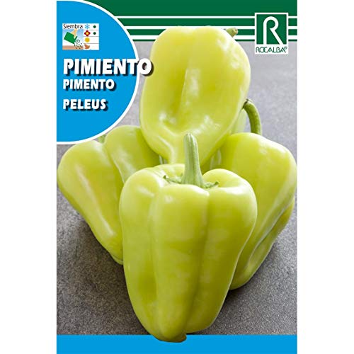 Semillas de Pimiento peleus - Calidad y Versatilidad ?