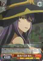 ヴァイスシュヴァルツ ゴブリンスレイヤー Amazon.co.jp: ヴァイスシュヴァルツ ゴブリンスレイヤー 森人の