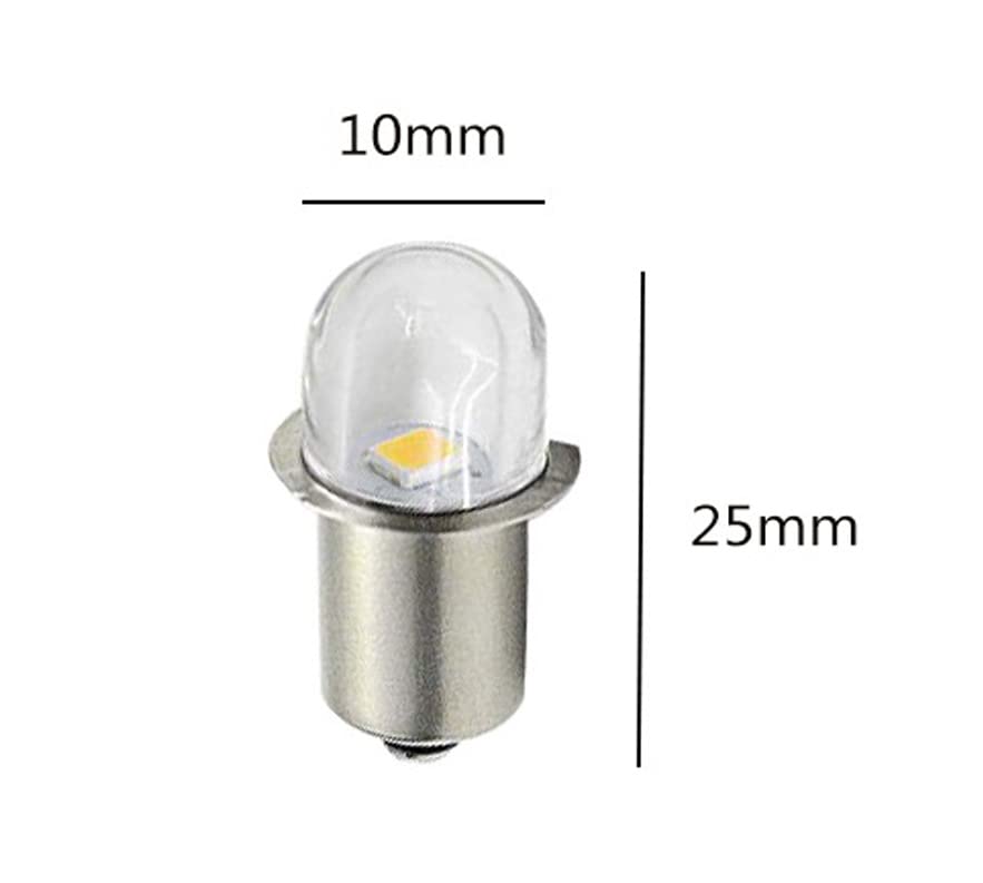 Lot De 5 Lampes De Poche Led P13.5S - Blanc Froid - 3 V