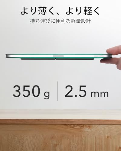 ESR iPad Pro 13インチ ケース Reboundシリーズ