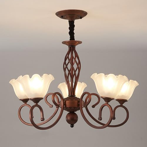 Lustre rustique rétro en verre de fer E27 plafonnier suspendu salon 5 têtes
